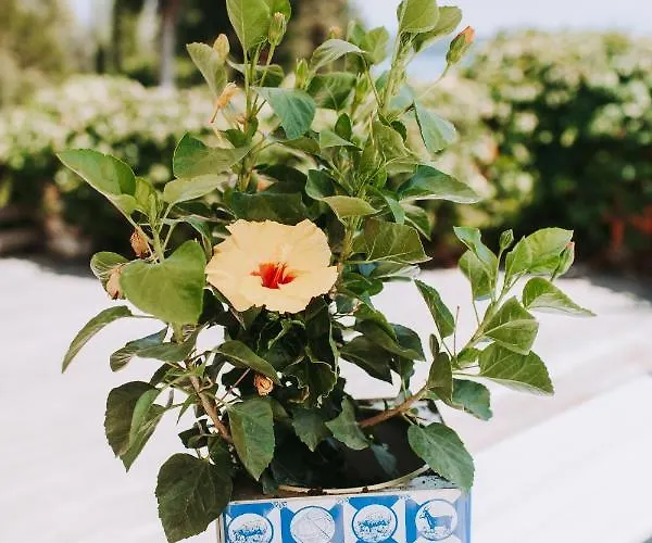 Islands View Hotel *